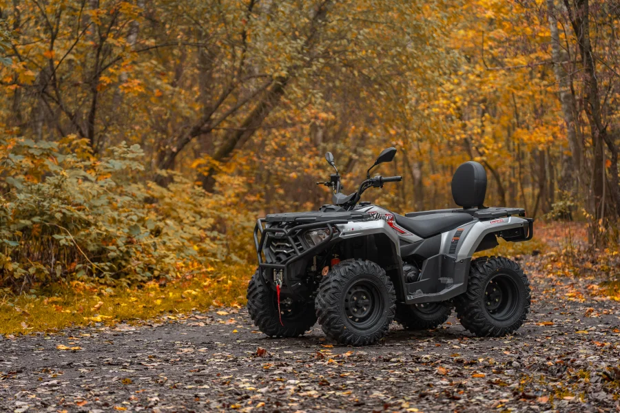 Квадроцикл Loncin Xwolf 300 Max — изображение 11