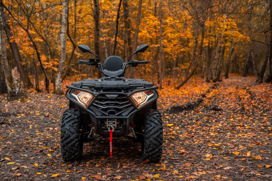 Квадроцикл Loncin Xwolf 300 Max — изображение 13