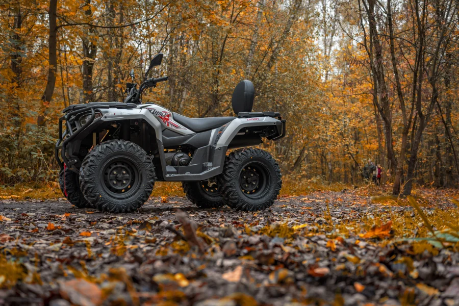 Квадроцикл Loncin Xwolf 300 Max — изображение 7