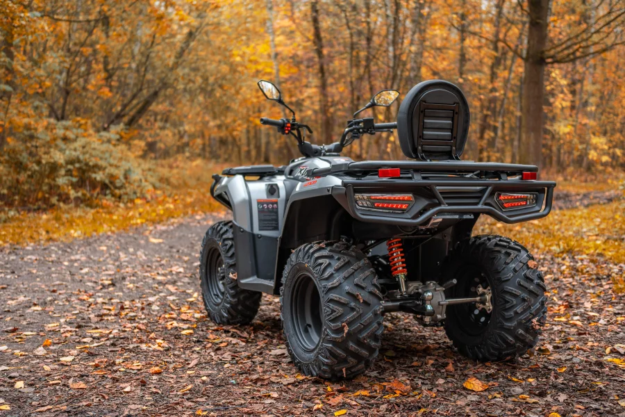 Квадроцикл Loncin Xwolf 300 Max — изображение 8