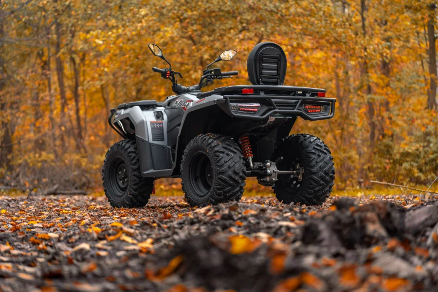 Квадроцикл Loncin Xwolf 300 Max — изображение 12