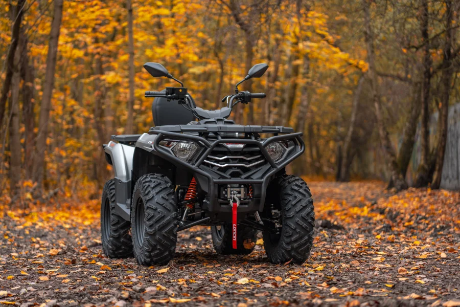 Квадроцикл Loncin Xwolf 300 Max — изображение 9