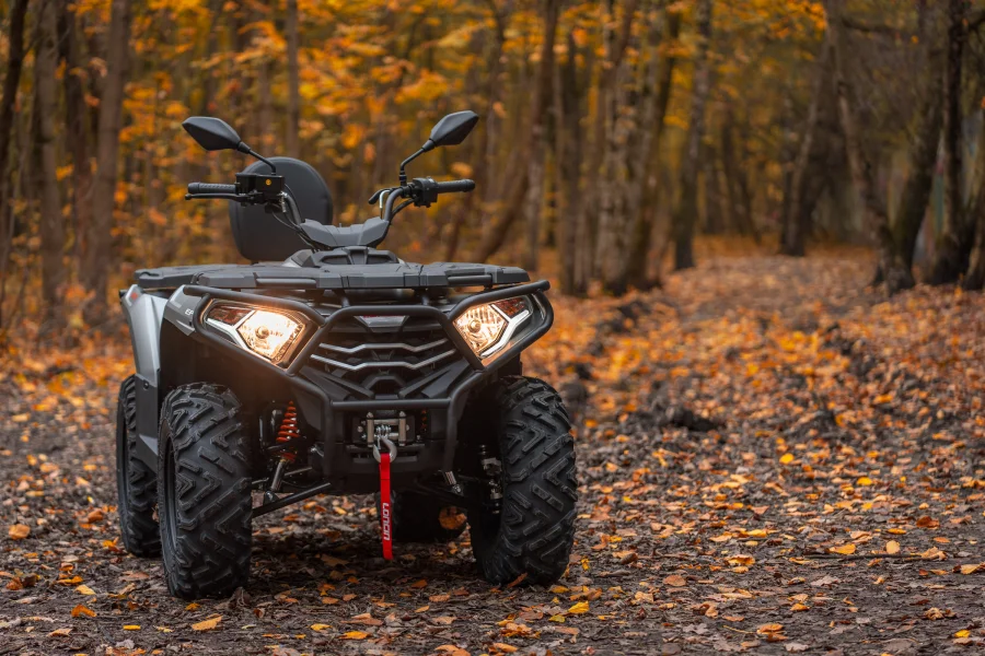 Квадроцикл Loncin Xwolf 300 Max — изображение 16