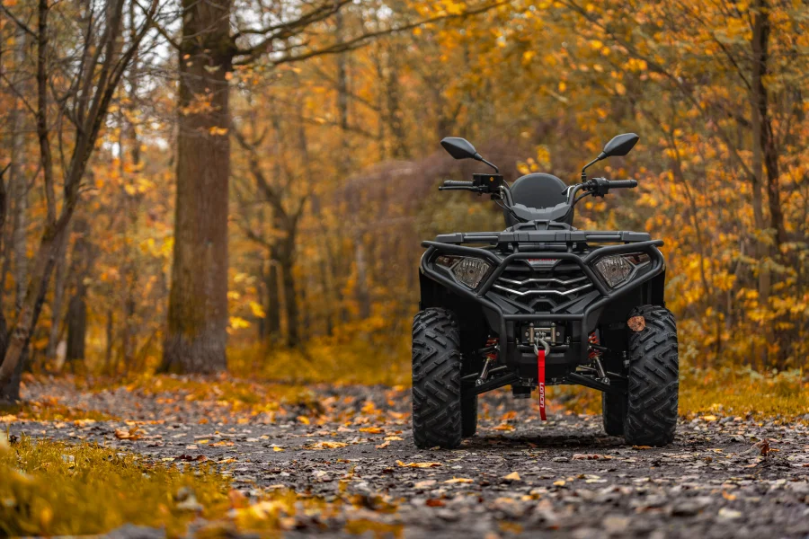 Квадроцикл Loncin Xwolf 300 Max — изображение 14