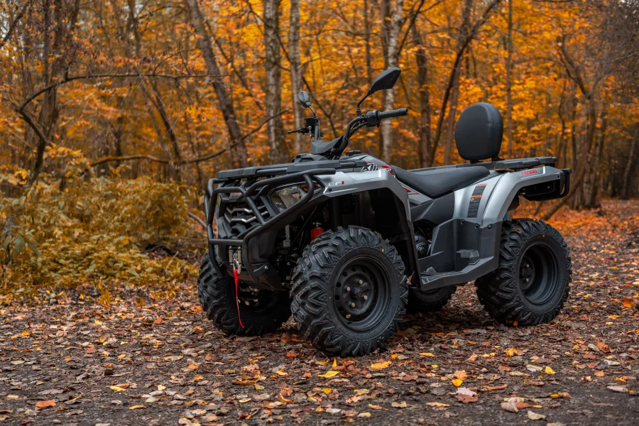 Квадроцикл Loncin Xwolf 300 Max — изображение 3